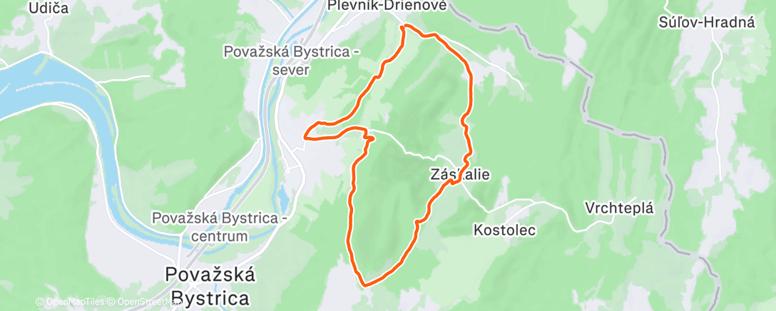 Карта физической активности (Morning Trail Run)