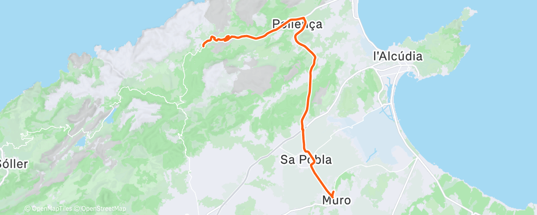 Map of the activity, 🪓🪵🫤