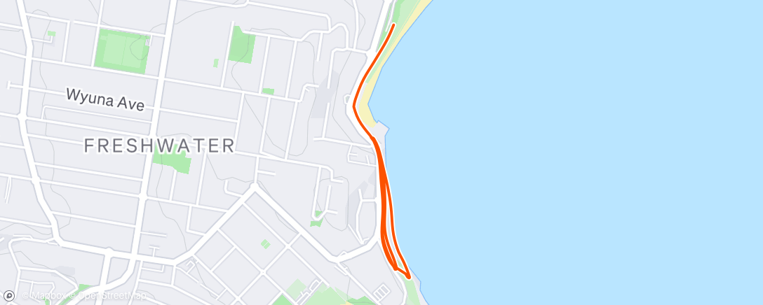 Map of the activity, TSC