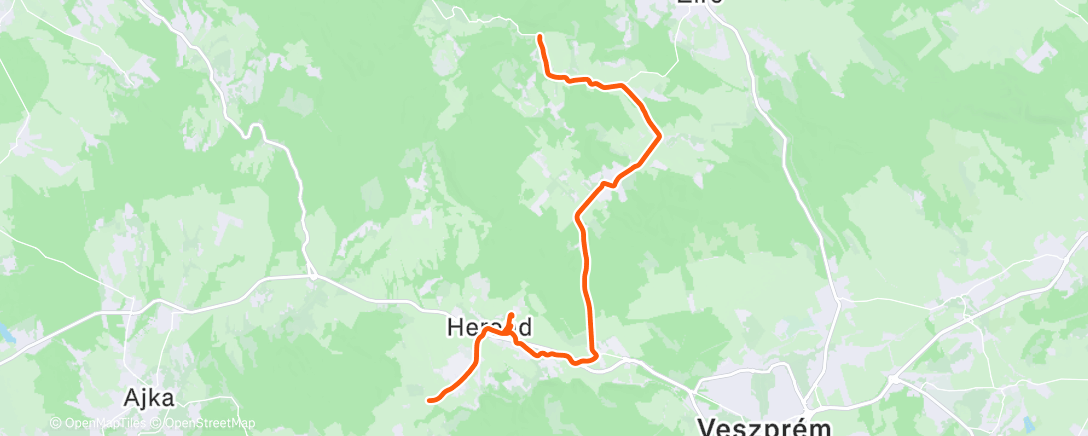 Карта физической активности (Lunch Ride)