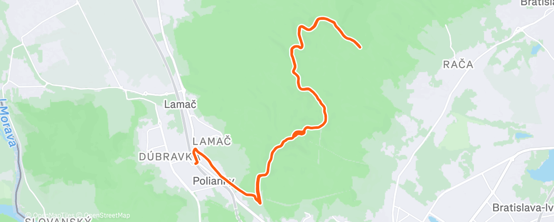 Map of the activity, Lunch Trail Run