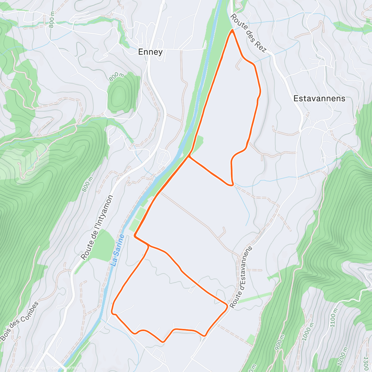 Map of the activity, Course à pied le matin