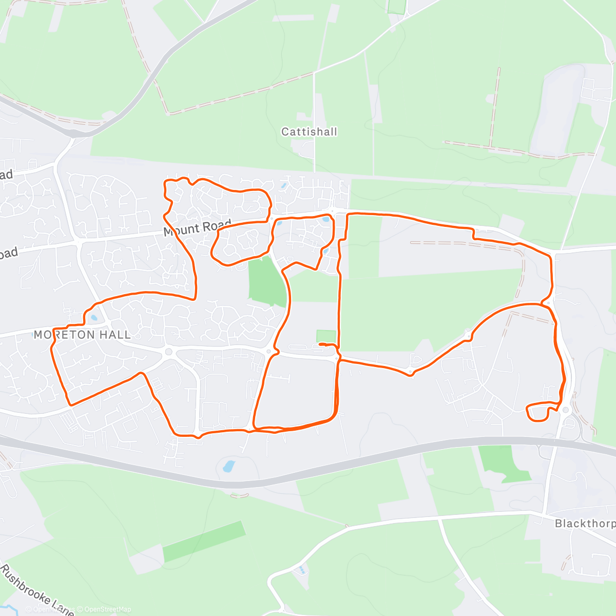 Map of the activity, Morning Run 🌧