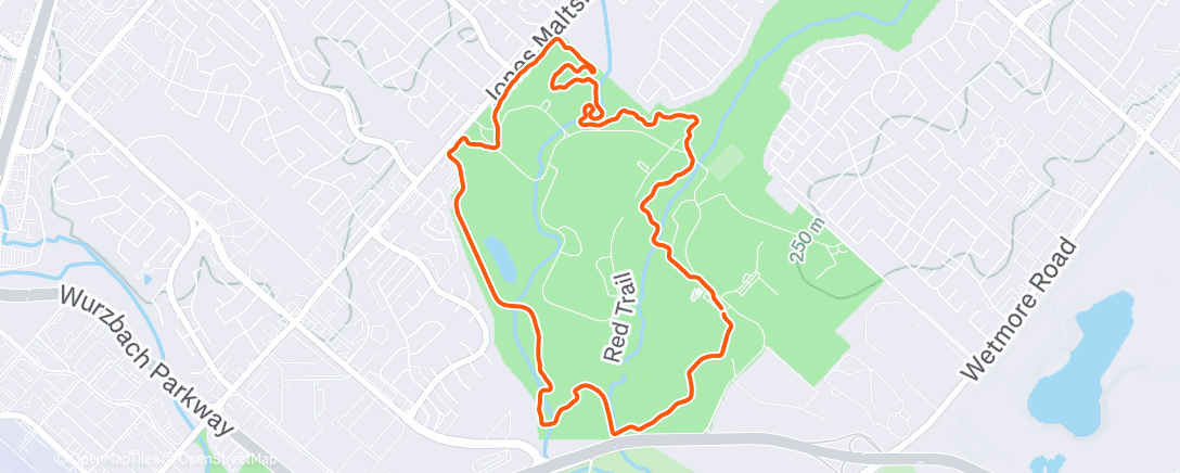 Карта физической активности (Catching up with Dale)