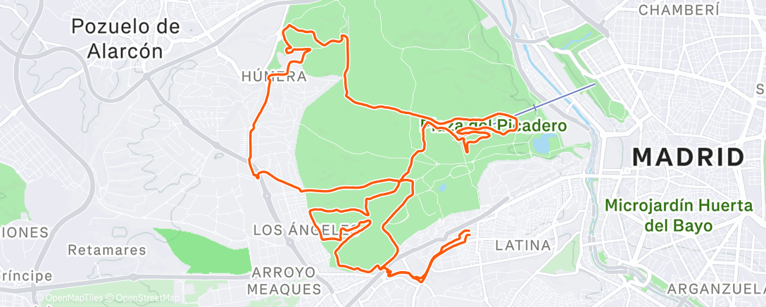 Карта физической активности (🍫)