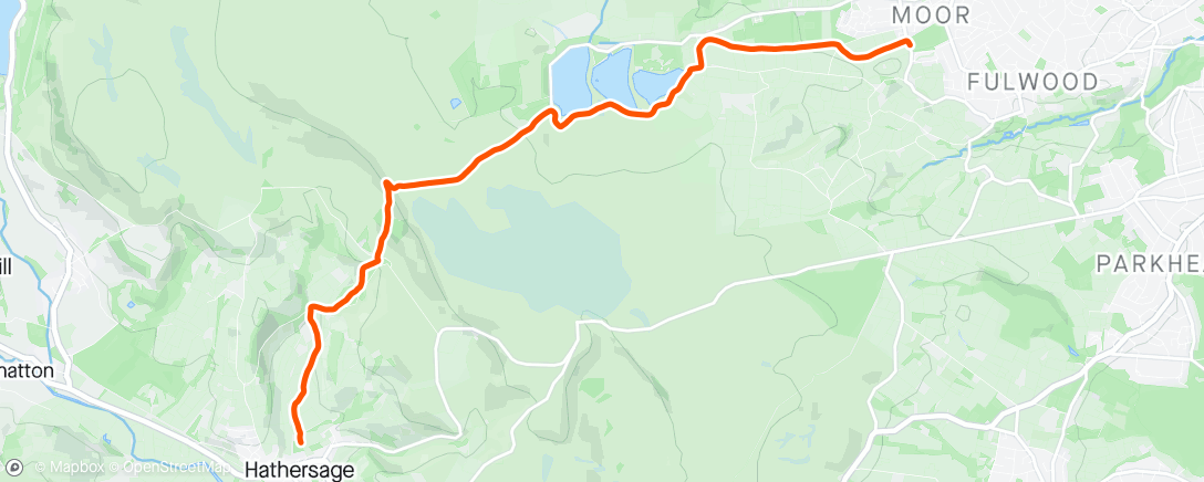 Mapa de la actividad, Afternoon Trail Run