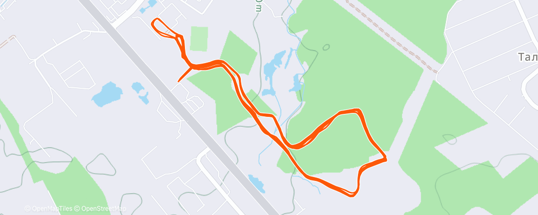 Map of the activity, Утренний забег