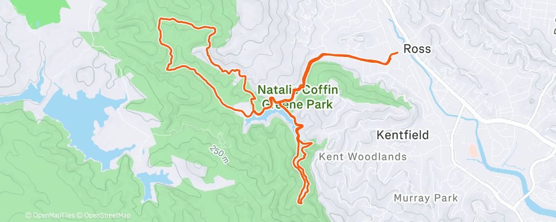 Map of the activity, positive peer pressure.