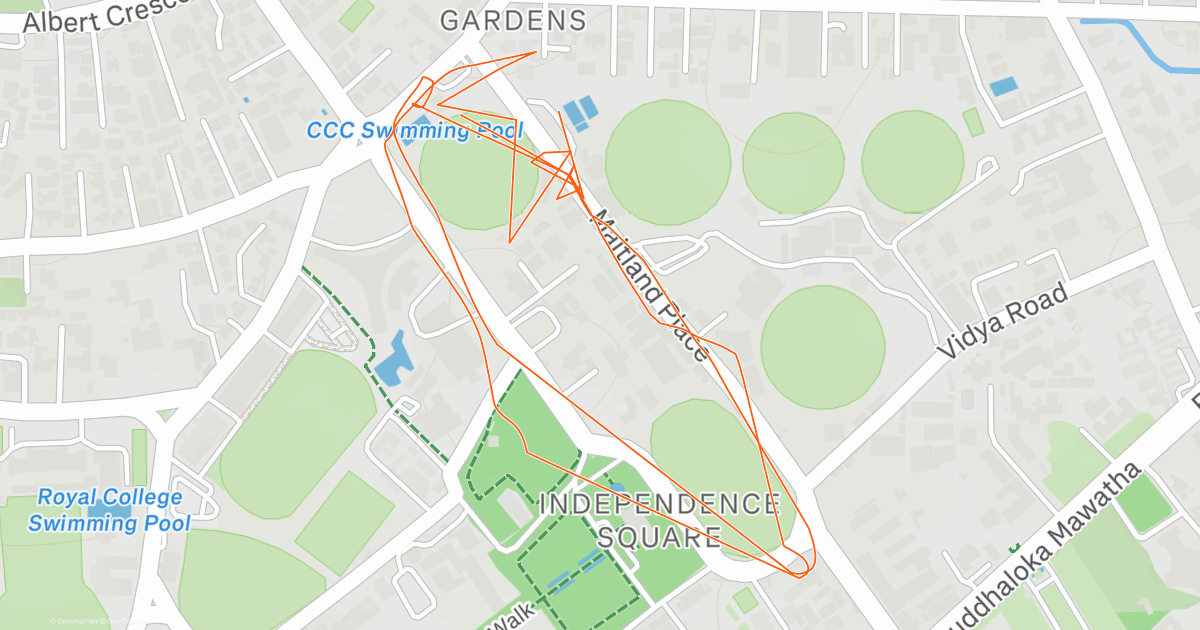 Evening Run | Strava
