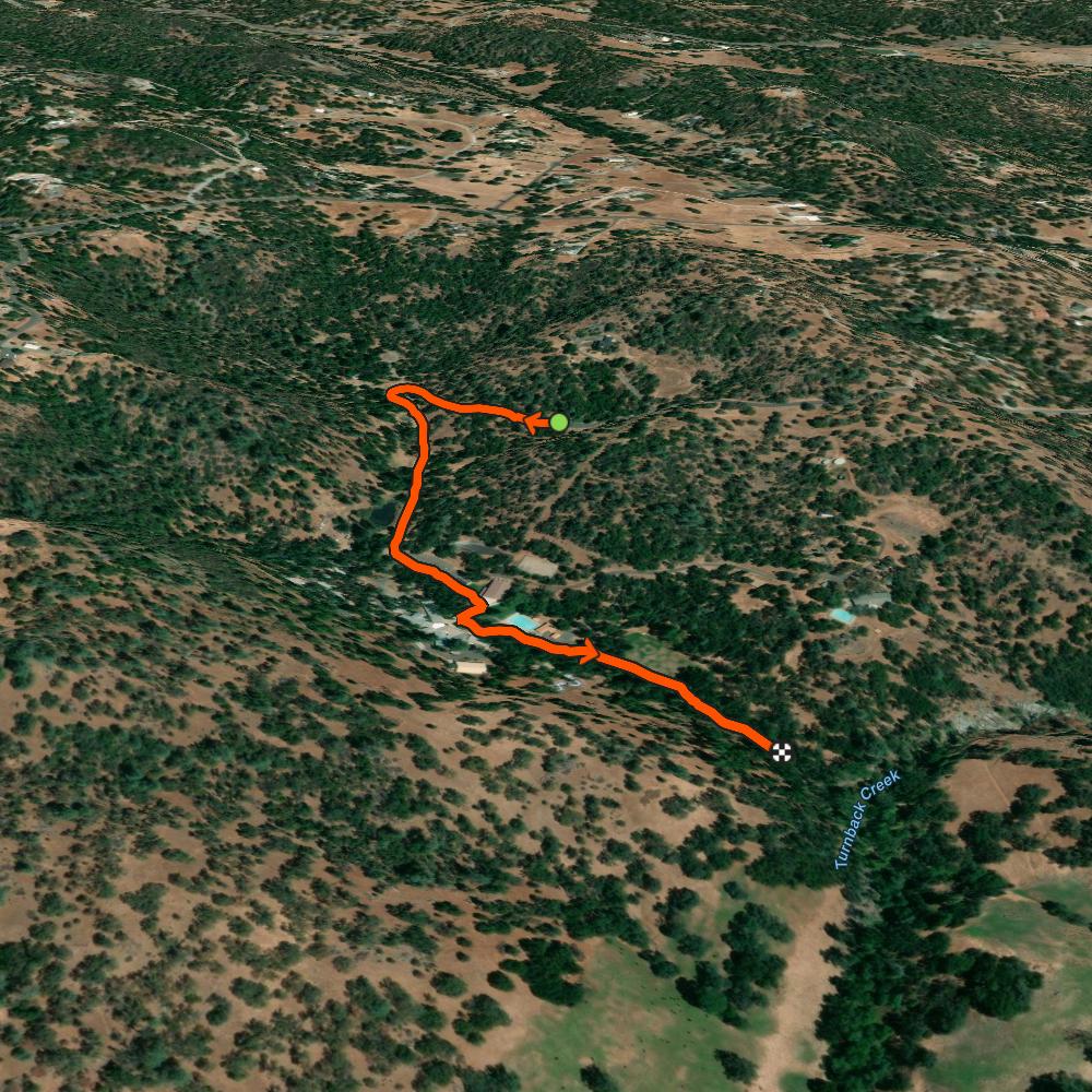 Map of the activity