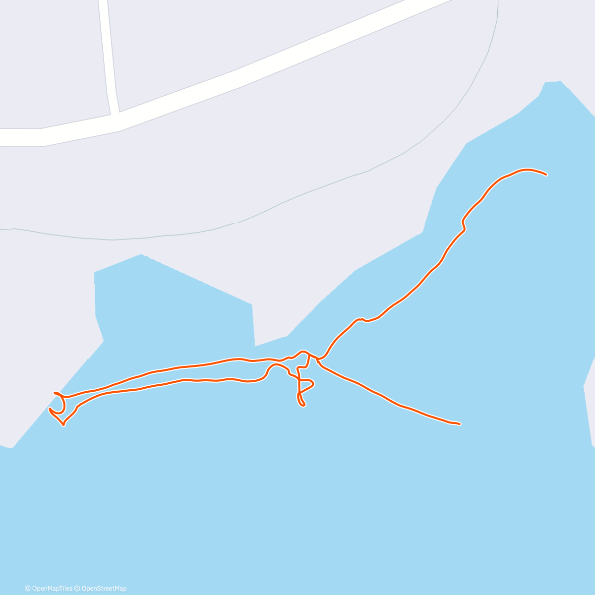 Карта физической активности (Beach stroll with Izzy and then the rest)