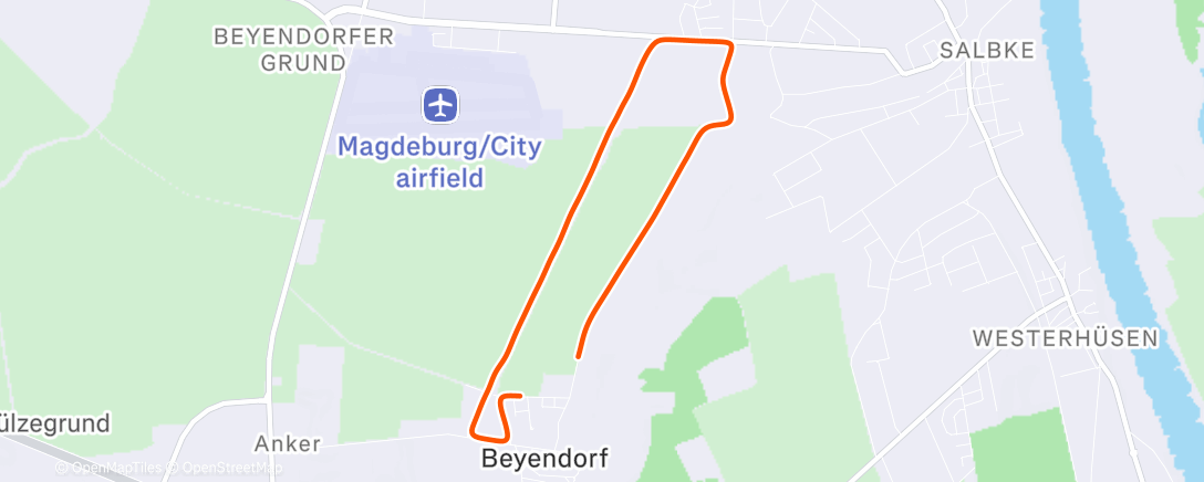 Map of the activity, Morning Run
