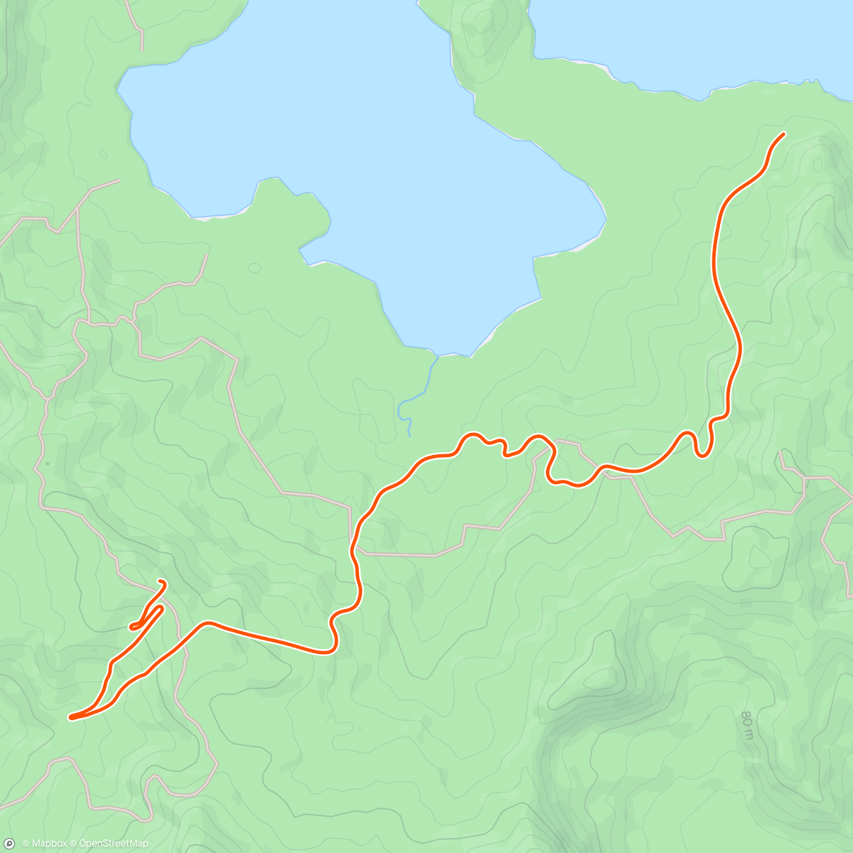 Map of the activity, Zwift - JOIN Cycling - 3x 15 min omslagpunt in Watopia