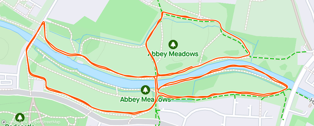 Map of the activity, Walk in the Parkrun #4