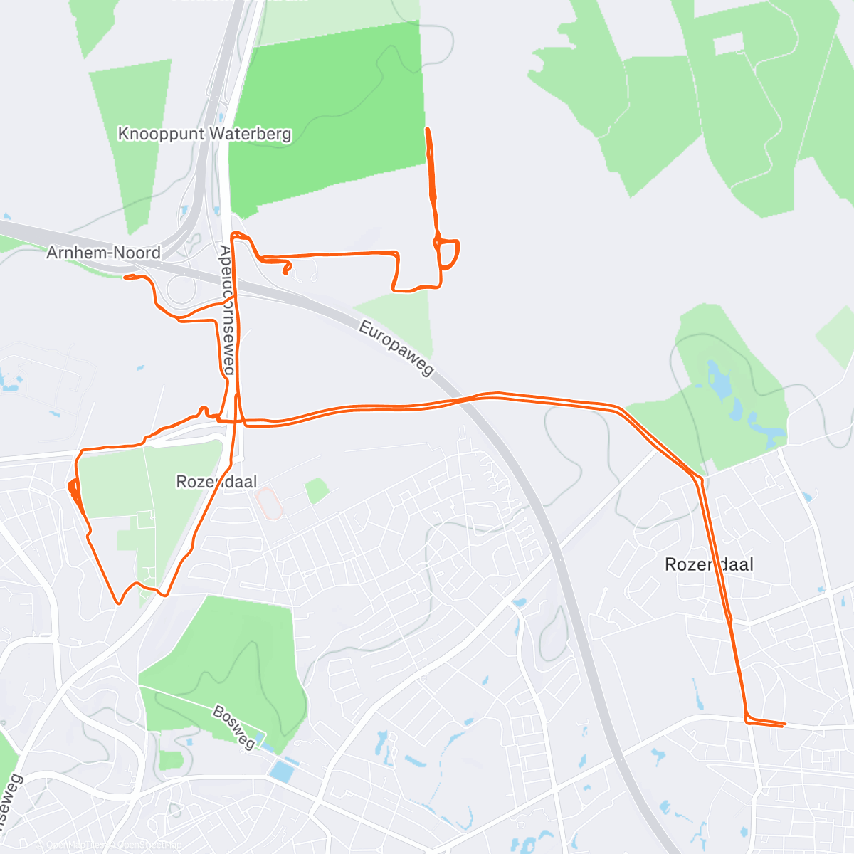 Карта физической активности (LMU Veldrit training)