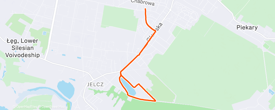 Map of the activity, Morning Run