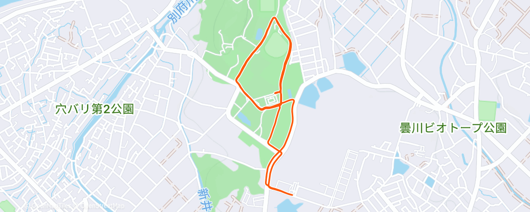Map of the activity, 夕方のランニング