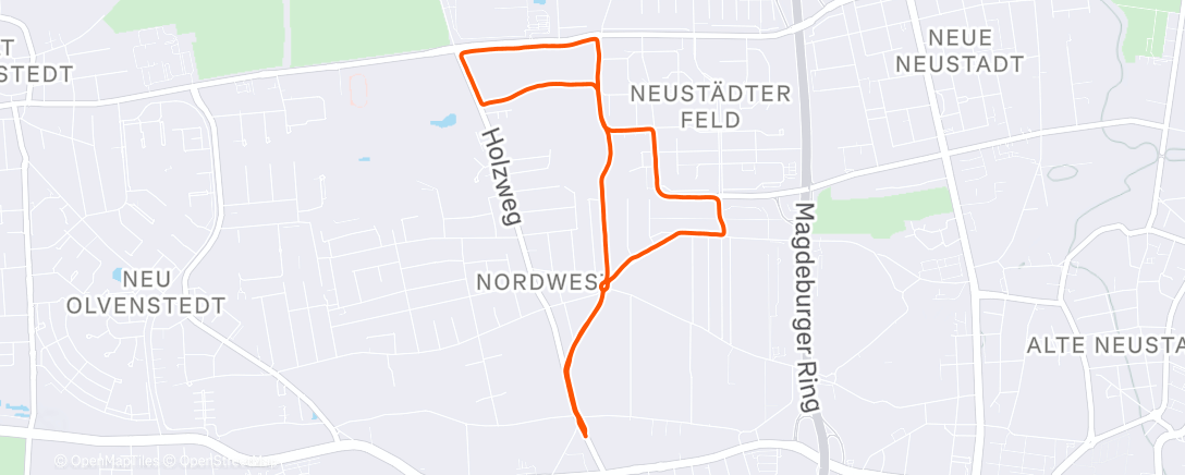 Map of the activity, Morning Run