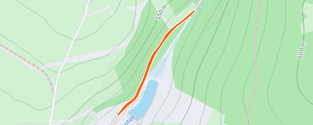 Карта физической активности (Afternoon Walk)