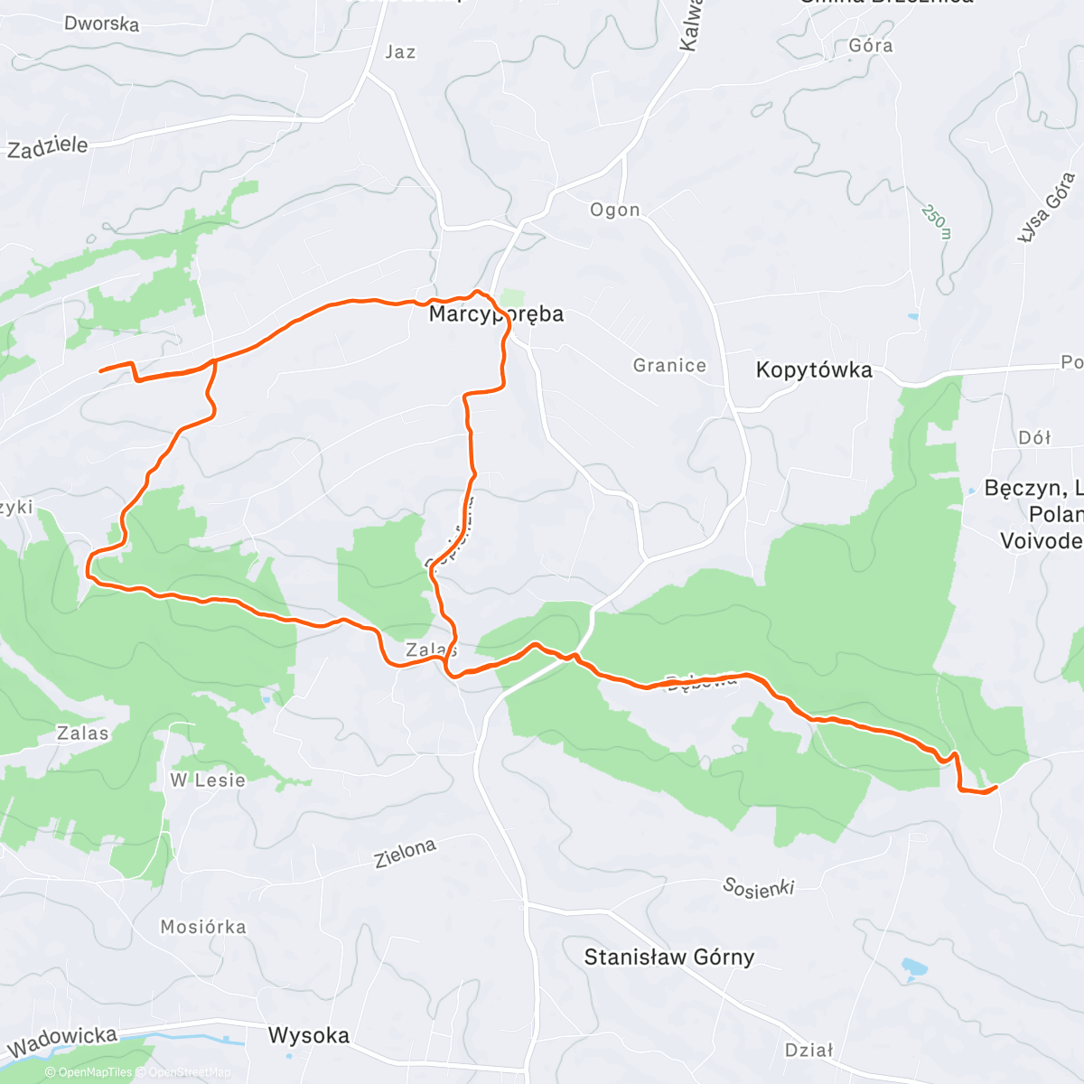 Map of the activity, Afternoon Trail Run