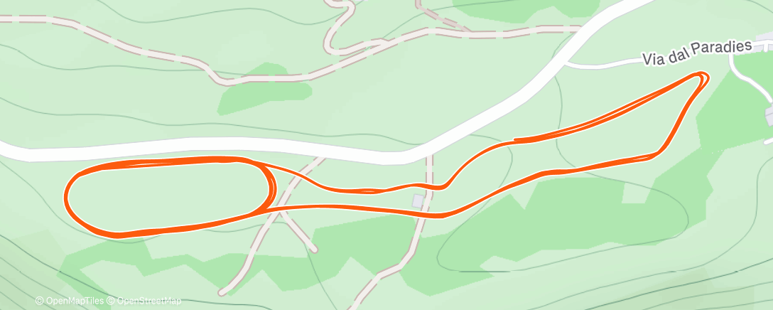 Карта физической активности (Morning Nordic Ski)