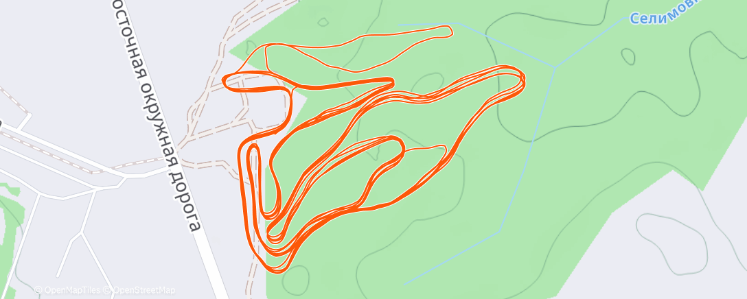 Map of the activity, Северный лыжный заезд (день)