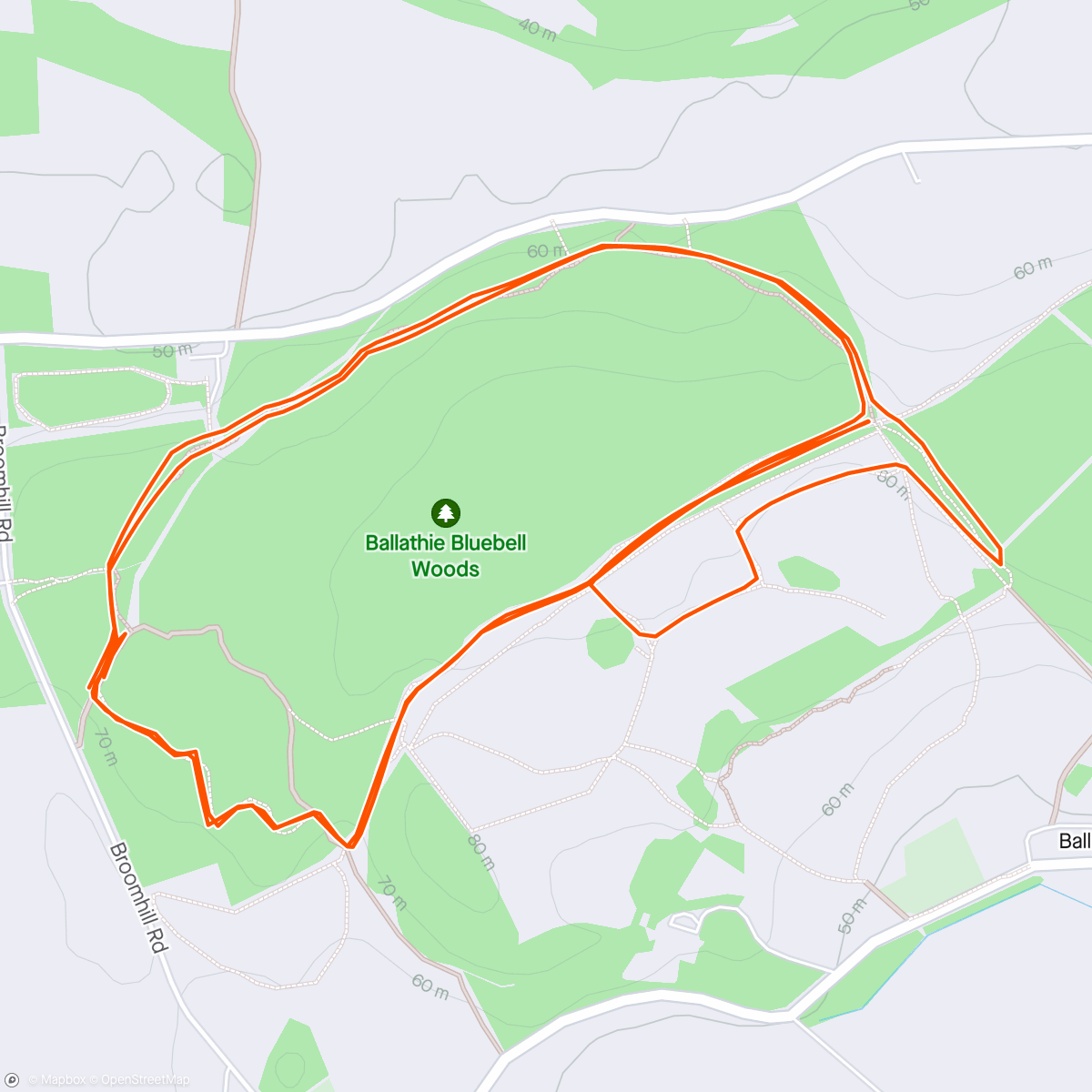Mappa dell'attività Up the Woods - easy-to-steady - bit more work on the hills - spaniel-accompanied