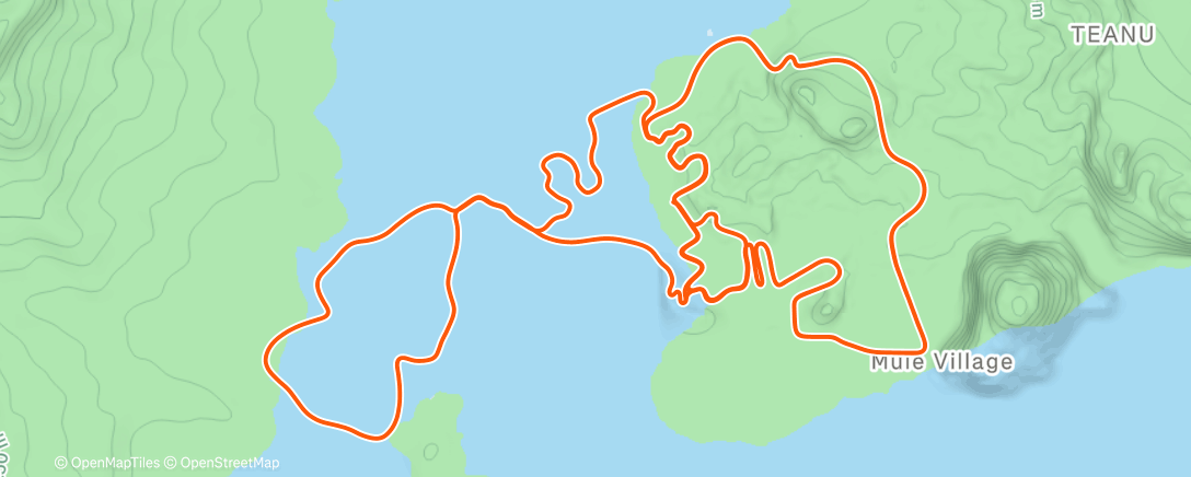 Карта физической активности (Zwift - Jarvis Seaside Sprint in Watopia)