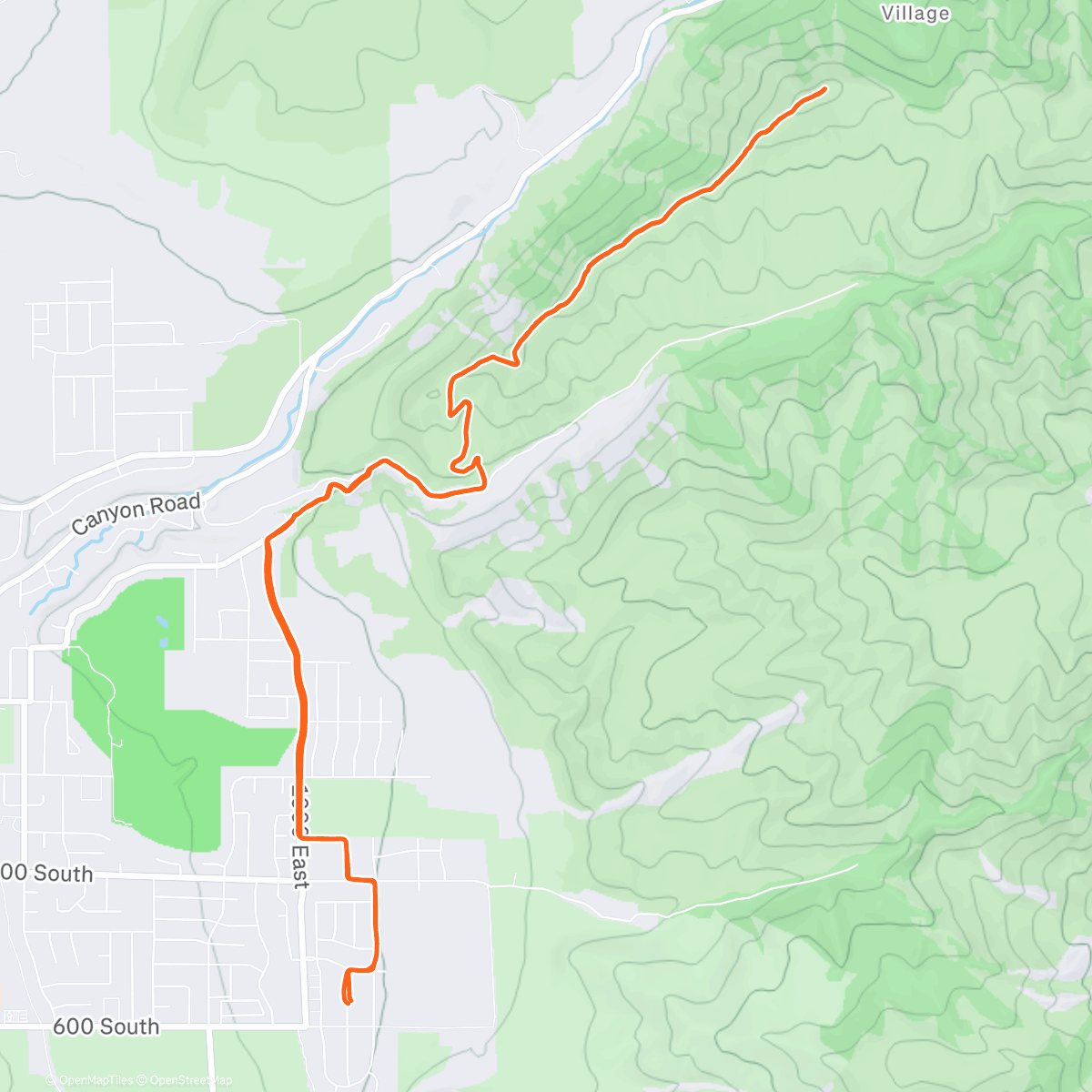 Карта физической активности (Cold)