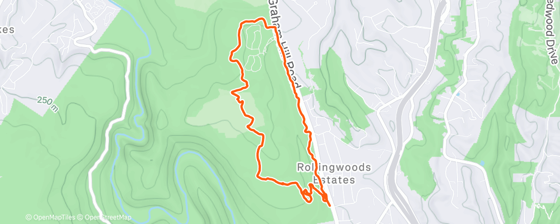 Map of the activity, Dog prefers the rain