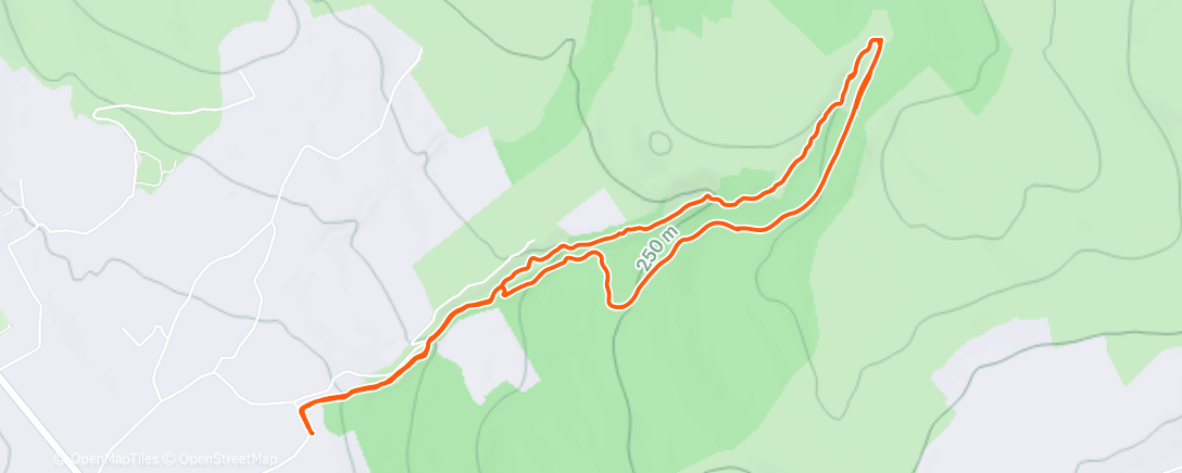 Карта физической активности (Afternoon Walk)