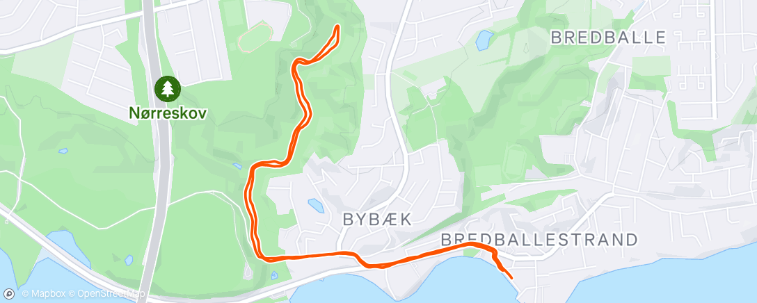 Map of the activity, Afternoon Run