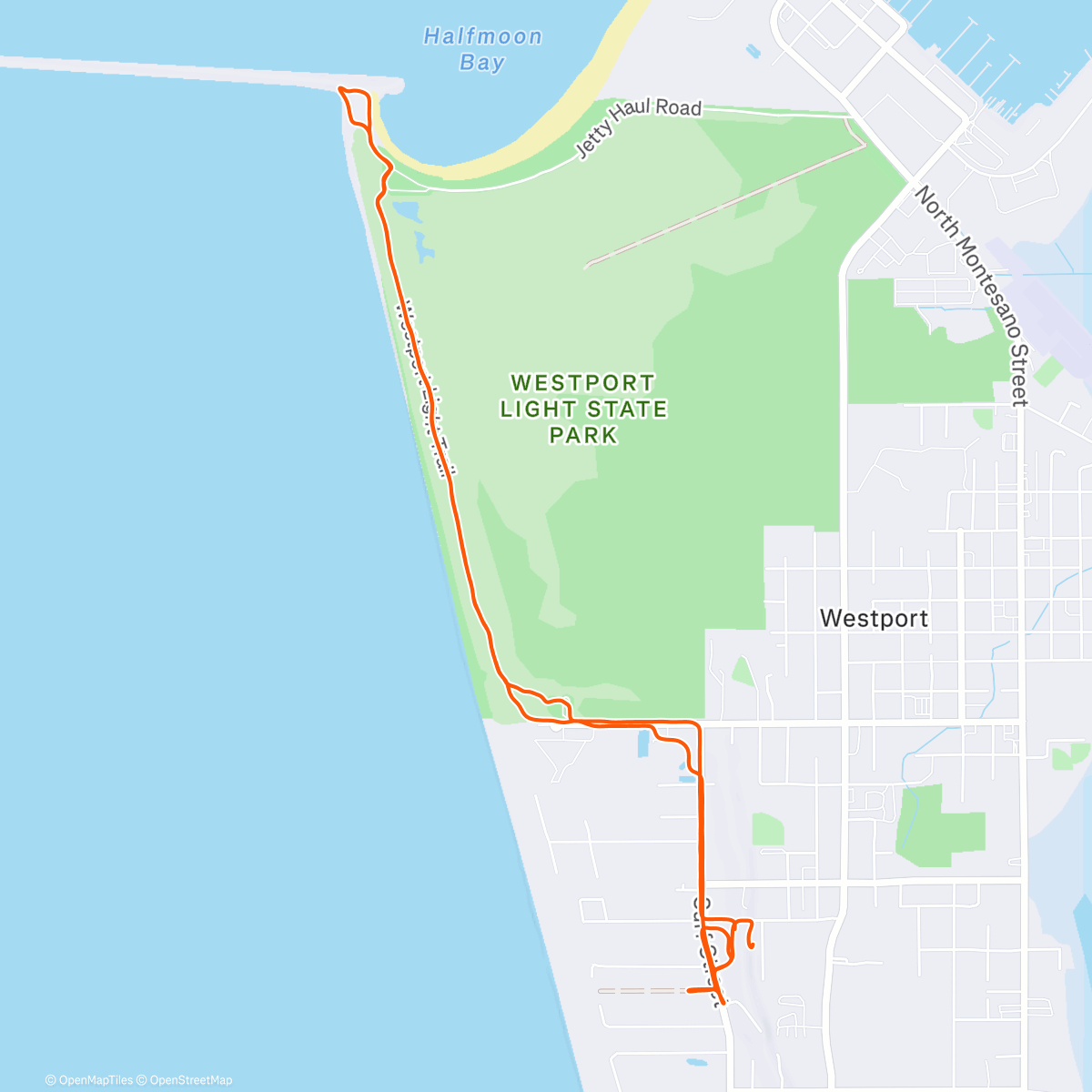 Карта физической активности (Morning Run)