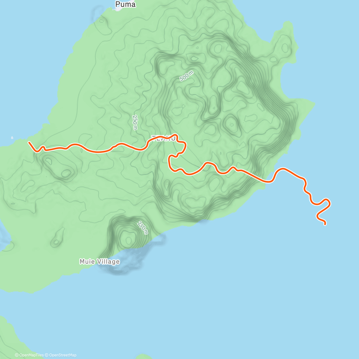 Карта физической активности (Zwift - Watopia's Waistband in Watopia)