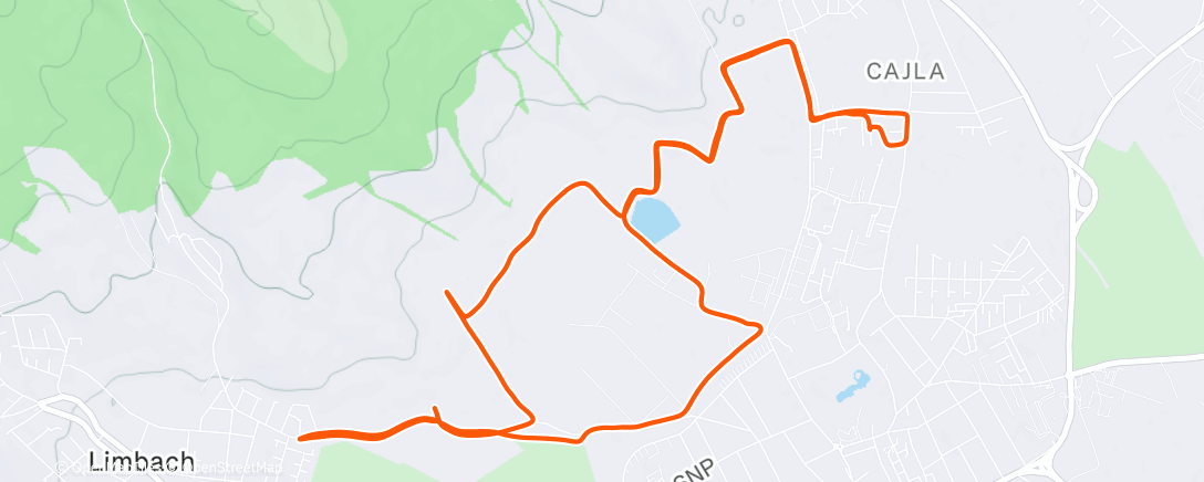 Карта физической активности (Morning Run)