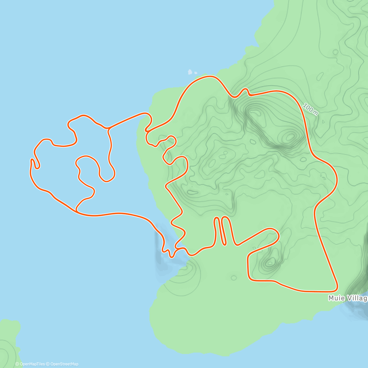 Map of the activity, Zwift - Volcano Flat in Watopia