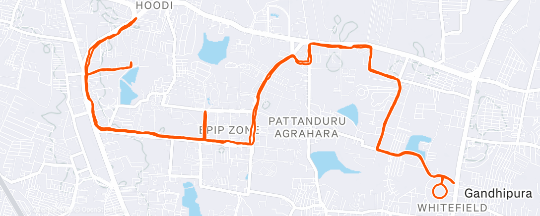 Map of the activity, Morning Run