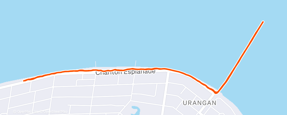 Map of the activity, New year run
