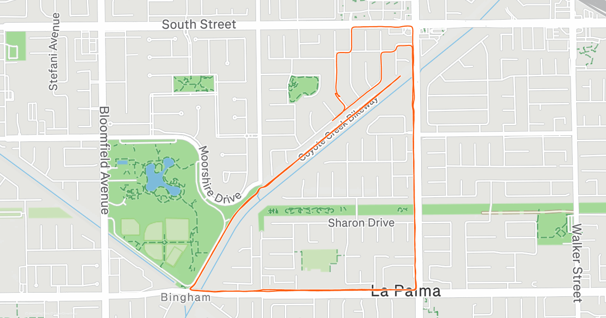 Afternoon Run | Strava