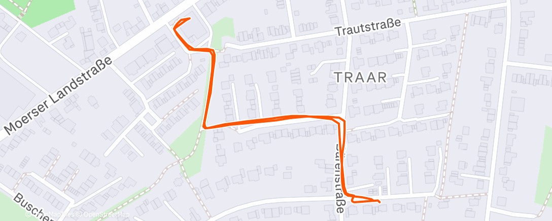 Карта физической активности (Morning Walk)