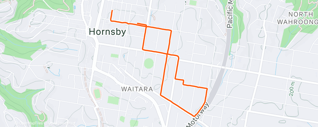 Карта физической активности (Morning Run)