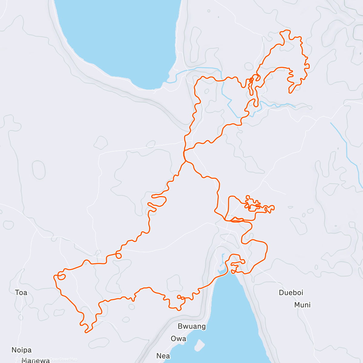 Map of the activity, Zwift - Shisa Shakedown in Makuri Islands