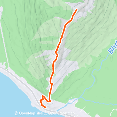 Bird Ridge | 4.7 mi Hiking Trail on Strava