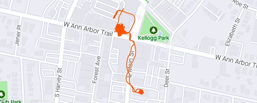 Map of the activity, I choked on a carrot today and all I could think was I bet a donut wouldn't have done this to me.