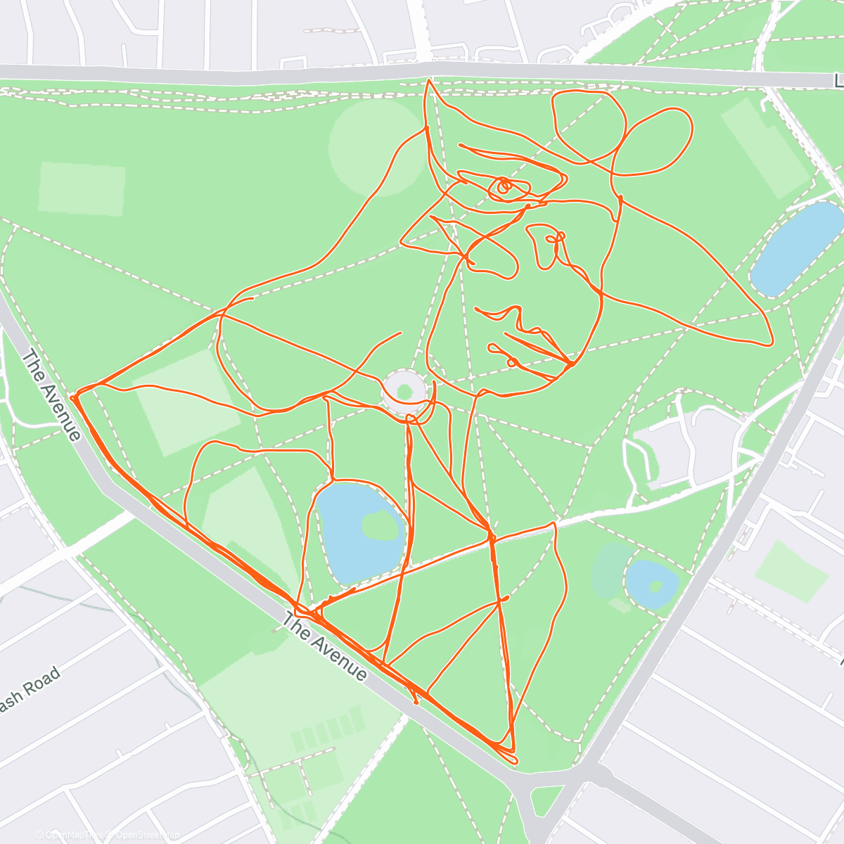 Карта физической активности (Woman in a Green Hat by Pablo Picasso)