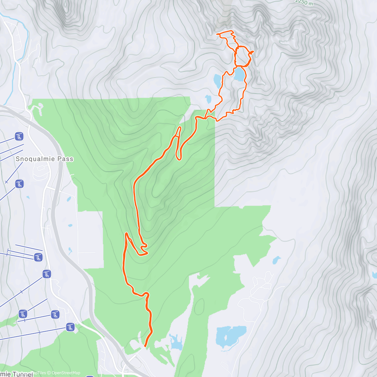 Map of the activity, Went for a walk with my favorite human ❤️