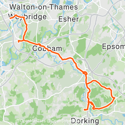 Food at Denbies + Box | 53.4 km Cycling Route on Strava