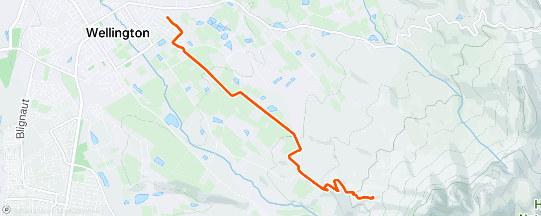 Map of the activity, Morning Trail Run