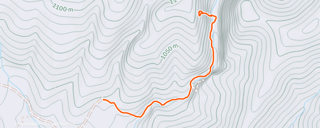 Карта физической активности (Evening Ice Skate)