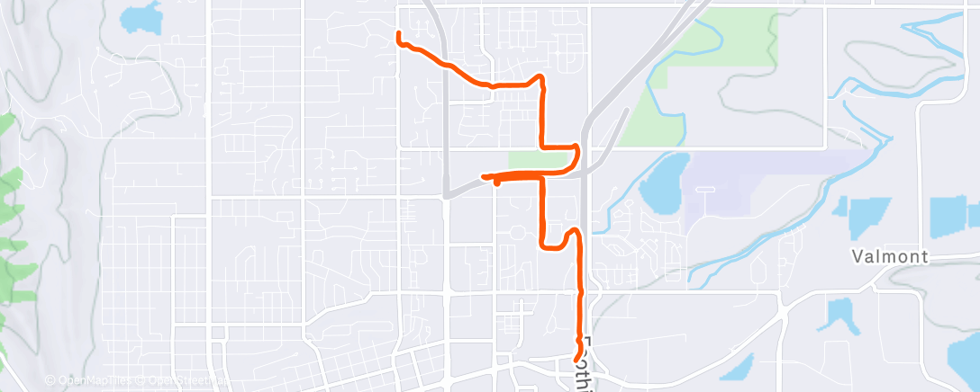 Карта физической активности (I saw a geese fly into the side of a moving car)